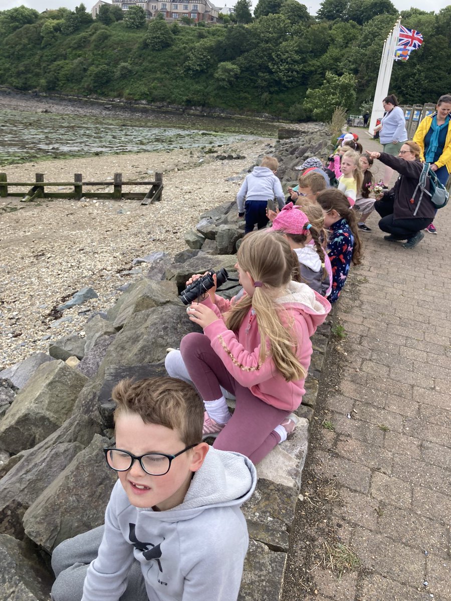 Dosbarth Tri tweet media