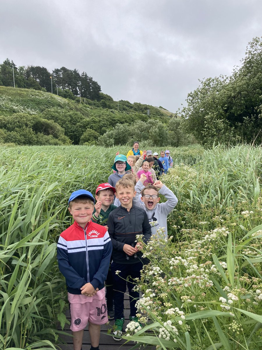 Dosbarth Tri tweet media