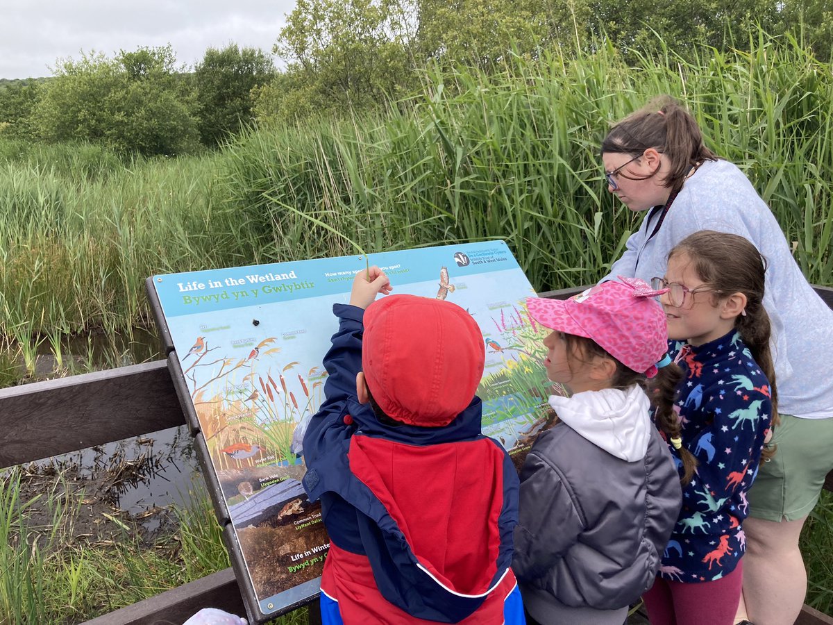 We enjoyed our walk down to Goodwick Moor with Mrs King from the Durrell Trust. We identified a number of birds from their calls and found many types of flowers.
