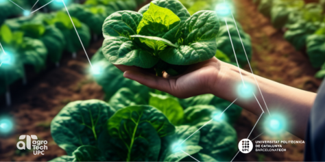 AgrotechUPC's tweet photo. 🌱🚀 No et perdis la II edició d'#AgroTech d'Innovació Agrària!  organitzada per @la_UPC @ViladecansTweet @agriculturacat  #PATT2024

🗓️ 9 de juliol a Can Calderon i a l'#Agròpolis

➡️ Inscriu-te ara! https://t.co/1AytYzCVJ2

#AgriculturaSostenible #TecnificacióSostenible https://t.co/DvJXc26IXR