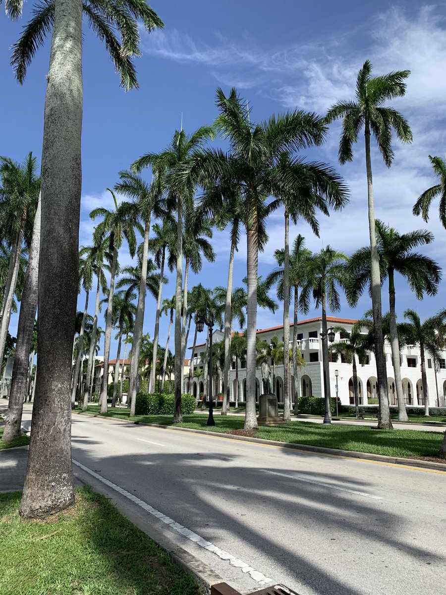 madureig's tweet photo. It’s been great to present some of my PhD studies at #ADSA2024 in West Palm Beach! 🐄

@DairyatGuelph https://t.co/J44MUVIFef