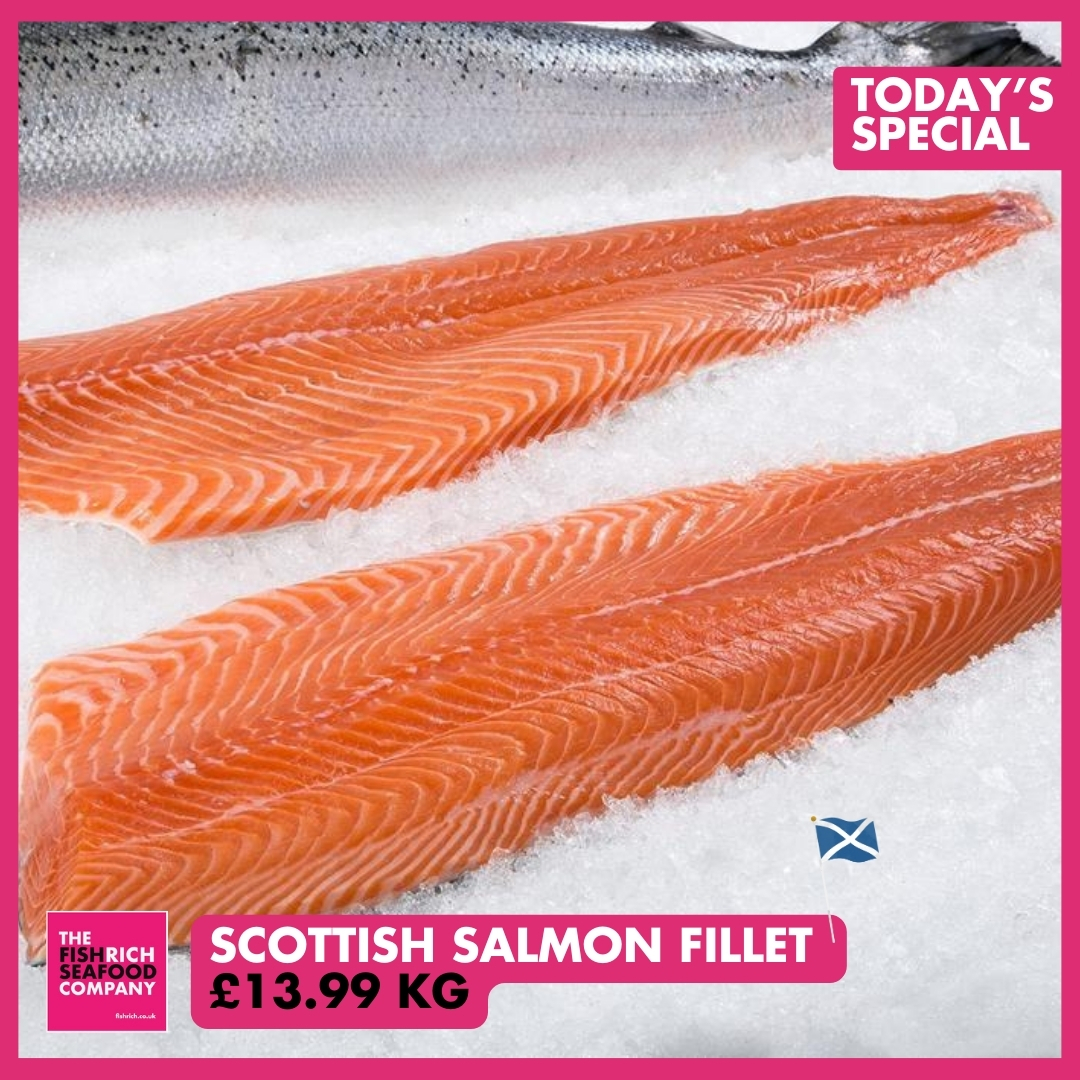 FishrichThe's tweet photo. 🐟️ Today's Special
Scottish Salmon Fillet - £13.99kg
📱0115 978 9411
📧 orders@fishrich.co.uk
🖱️ https://t.co/xLAskXZgXK
🚚 Delivering Tues-Sat across Midlands
#fish #seafood #chefs
#nottingham #restaurants #salmonfillet https://t.co/sEeMMeDKsG