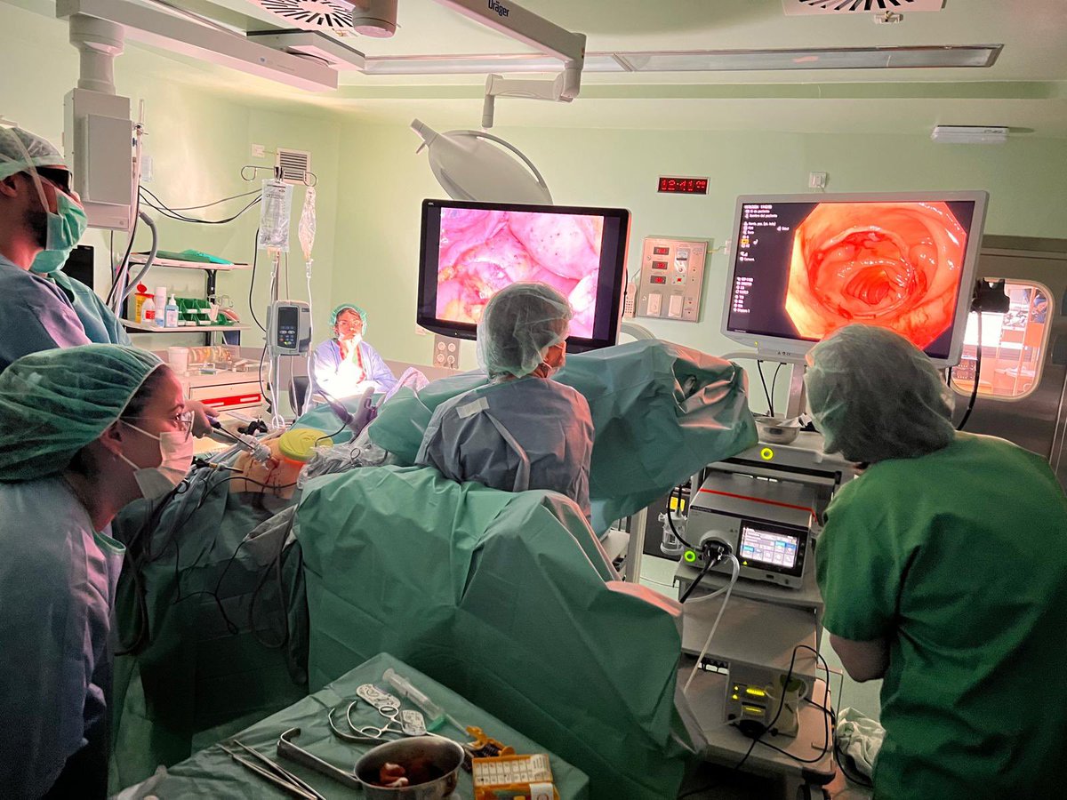 AECP (@aecp_faecp) on Twitter photo 🔴Parte práctica de nuestro primer curso de colonoscopia intraoperatoria en el Hospital Universitario de Pontevedra.
🙏 Gracias a los asistentes y colaboradores por hacerlo realidad. <a href="/AlbertoParajo/">Alberto Parajó</a> <a href="/barbon_esther/">Esther Barbon</a> <a href="/VVigorita/">Vincenzo Vigorita MD, PhD, EBSQ-c, FACS</a> 🔝
👉Vendrán nuevas ediciones ¡Estate atento! 🔴Parte práctica de nuestro primer curso de colonoscopia intraoperatoria en el Hospital Universitario de Pontevedra.
🙏 Gracias a los asistentes y colaboradores por hacerlo realidad. <a href="/AlbertoParajo/">Alberto Parajó</a> <a href="/barbon_esther/">Esther Barbon</a> <a href="/VVigorita/">Vincenzo Vigorita MD, PhD, EBSQ-c, FACS</a> 🔝
👉Vendrán nuevas ediciones ¡Estate atento!