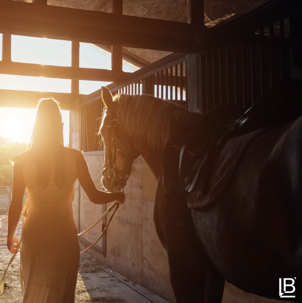 Lorry LeighBelhumeur, Ph.D. tweet media