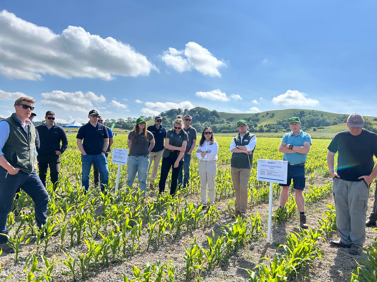 Corteva UK (@cortevauk) on Twitter photo 🌽 #TeamCorteva are out looking at maize herbicide trials in Wiltshire and diving deep into Corteva's products and solutions available for maize growers. 🌽
Thank you to <a href="/KingsplayFarm/">Nick Tyler</a> for hosting and to <a href="/CMP_agronomy/">Crop Management Partners</a> for providing their agronomy services! 🌽 #TeamCorteva are out looking at maize herbicide trials in Wiltshire and diving deep into Corteva's products and solutions available for maize growers. 🌽
Thank you to <a href="/KingsplayFarm/">Nick Tyler</a> for hosting and to <a href="/CMP_agronomy/">Crop Management Partners</a> for providing their agronomy services!