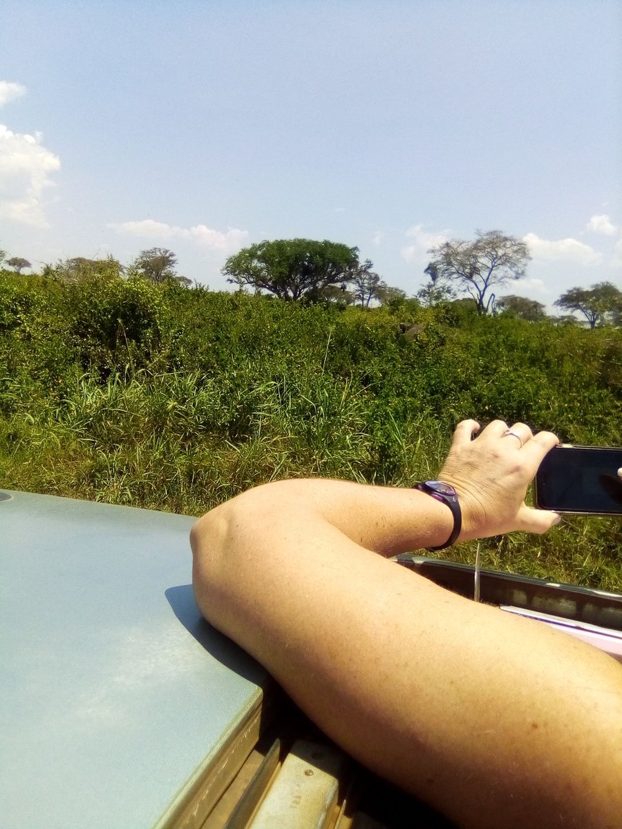 SafarisCamp's tweet image. Discover the untamed beauty of Murchison Falls National Park! Enjoying the breathtaking landscapes #StayInCharacter #MurchisonFallsNationalPark #AfricanSafari
 #WildlifeEncounters #QueenElizabethNationalPark #UgandaTour #ugandawildlife #turkanawildlifesafaris