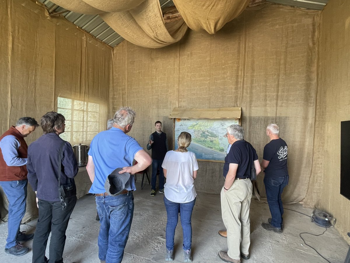 Bethany Tomlinson tweet media