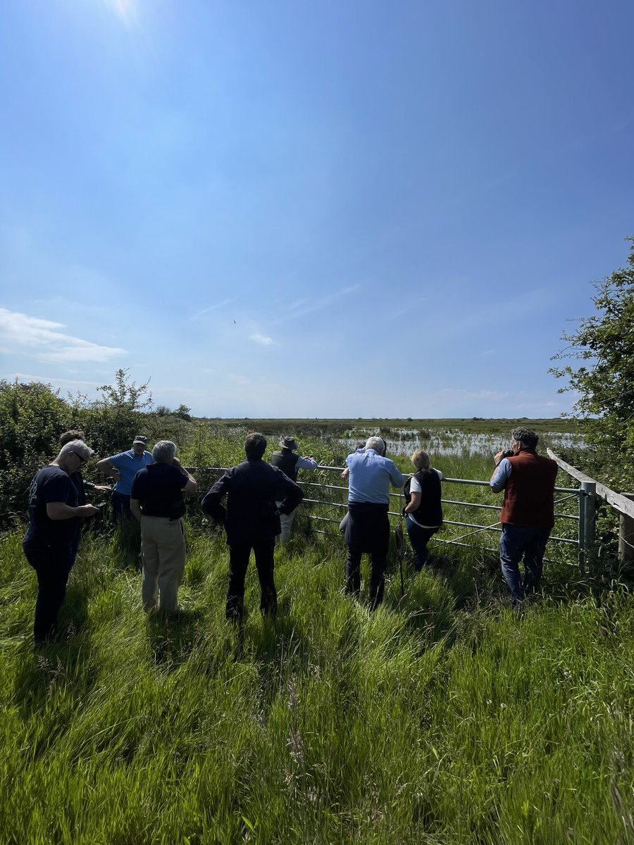 Bethany Tomlinson tweet media