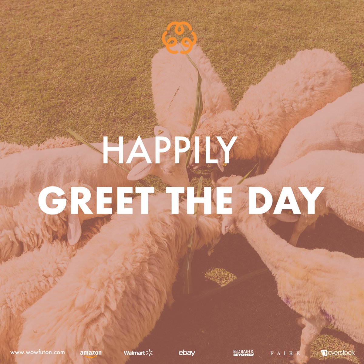 wowfuton's tweet photo. 💤Say hello to every day with the quality and comfort of WoW Futon mattress! Experience the difference in your sleep.

🧡 Discover organic sleep at https://t.co/hrEwvpmuOt
#wowfuton
#organicsleep
#organicbedding
#Amazon
#walmart
#ebay
#overstock
#bedbathandbeyond
#faire https://t.co/TyFR8l1P5K