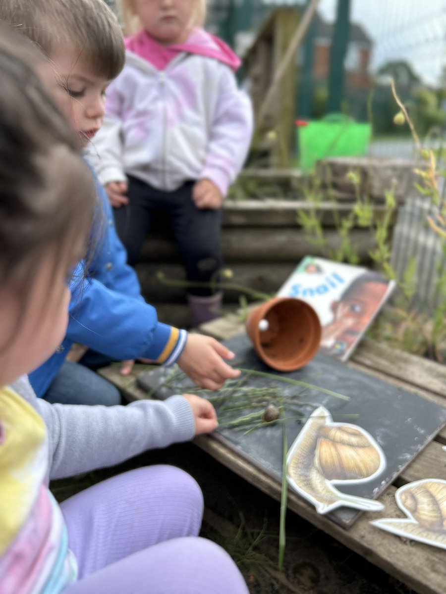 BG_FoxCubs's tweet photo. This week we are learning about snails π We have learnt that snails have an exoskeleton and are part of a group of animals called gastropods and that they lay eggs. #BGEYFS #BGScience https://t.co/LB4egjkURM