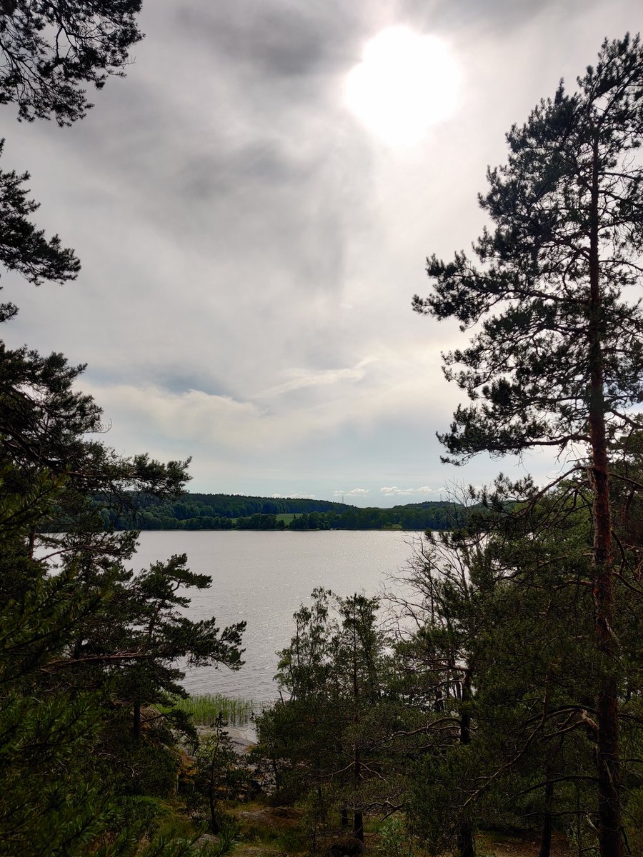 Shacozzi's tweet image. bycikleta 🚲