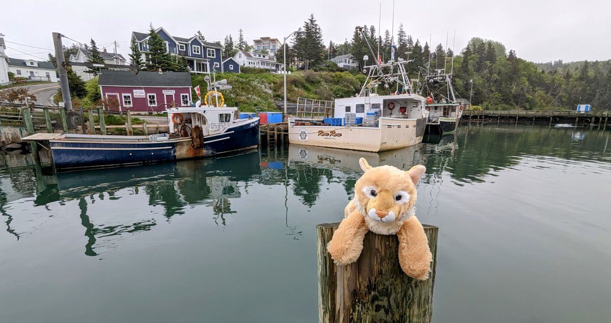 Colson Elementary tweet media