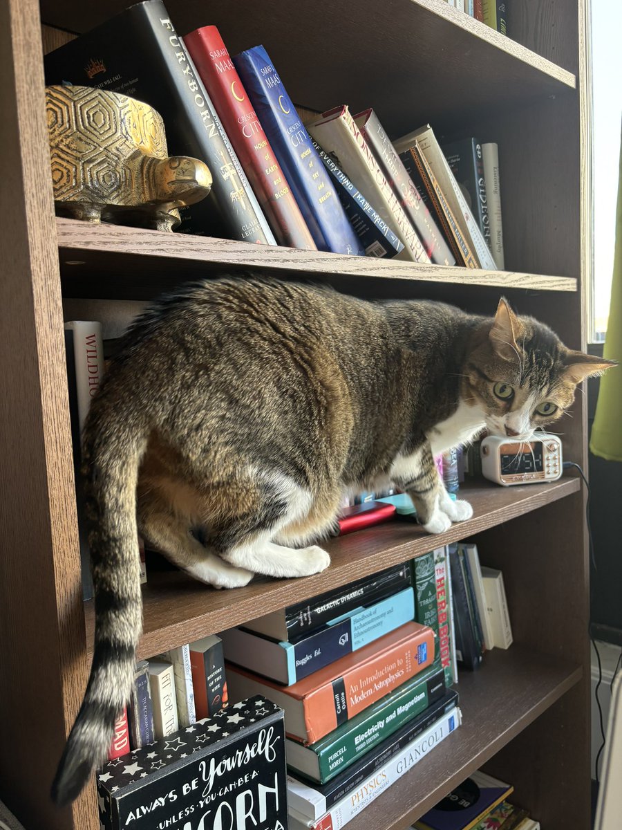 Dr. Moiya McTier tweet media