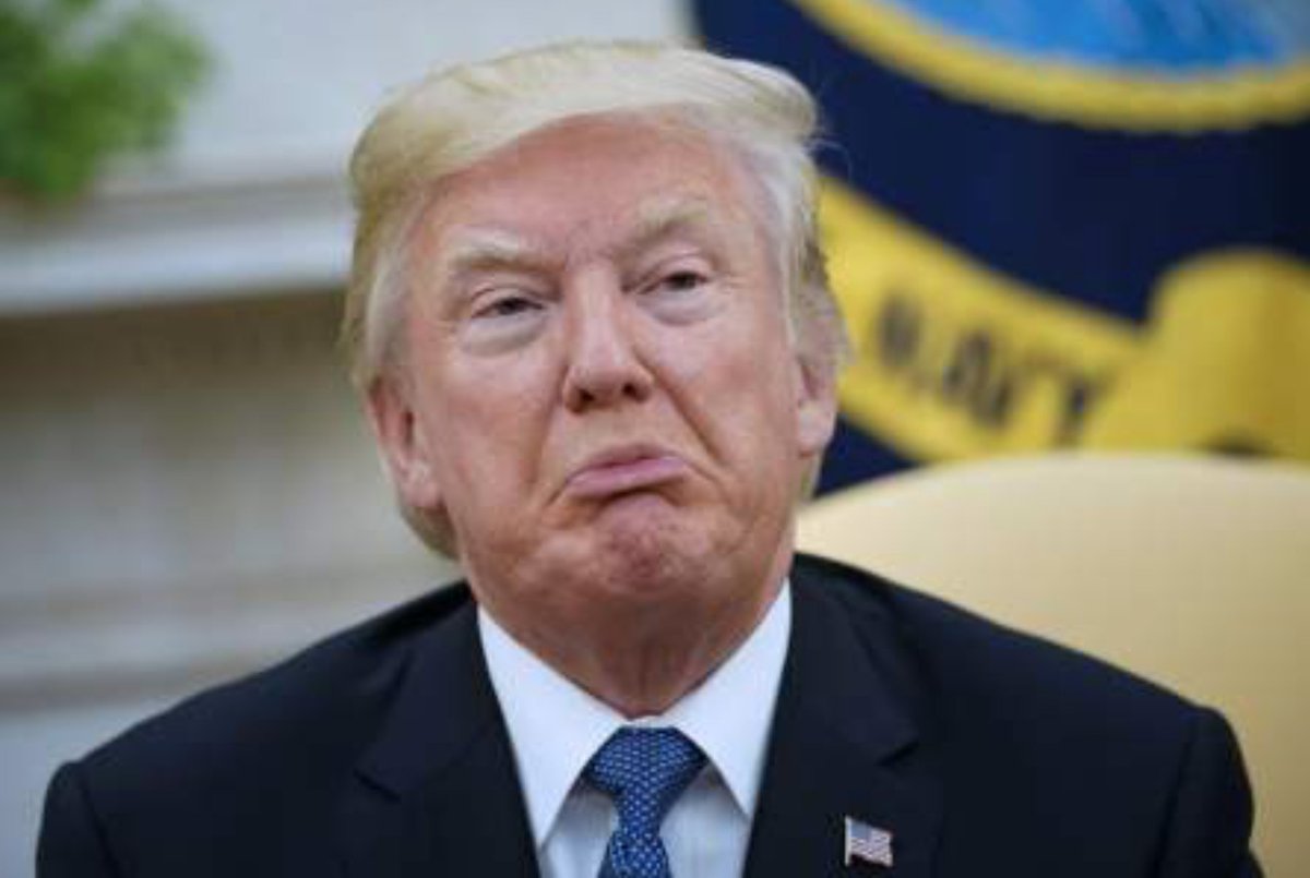snitchhickey's tweet image. @realDonaldTrump has a face only a mother could love and does anyone believe that his mother loved him?  The mistake #Trump's parents made when he was young was sending him to military school instead of to a psychiatrist.
#TrumpIsNuts
#TrumpNeedsHelp
#TrumpMentallyUnfit