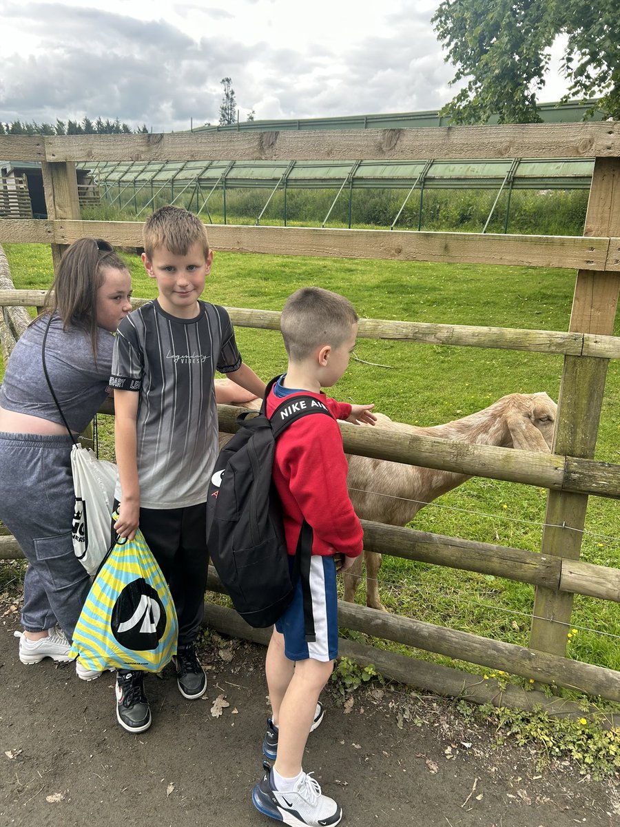 GlencoatsPS_'s tweet image. P5/6 had a great time on their trip to @BlairDrummondSP today!! 🦒🦏🐅🦓🦙🐒🐘

#schooltrip #safaripark #endoftheyear
