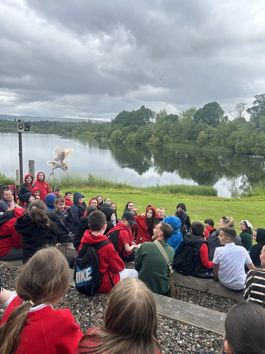 GlencoatsPS_'s tweet image. P5/6 had a great time on their trip to @BlairDrummondSP today!! 🦒🦏🐅🦓🦙🐒🐘

#schooltrip #safaripark #endoftheyear