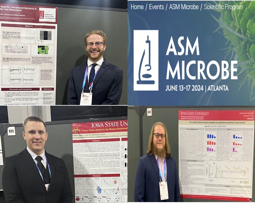 My students Jared Meinen-Jochum (top); Caleb Skow (bottom left), and Logan Ott (bottom right) presented their  research at 2024 ASM microbes in Atlanta