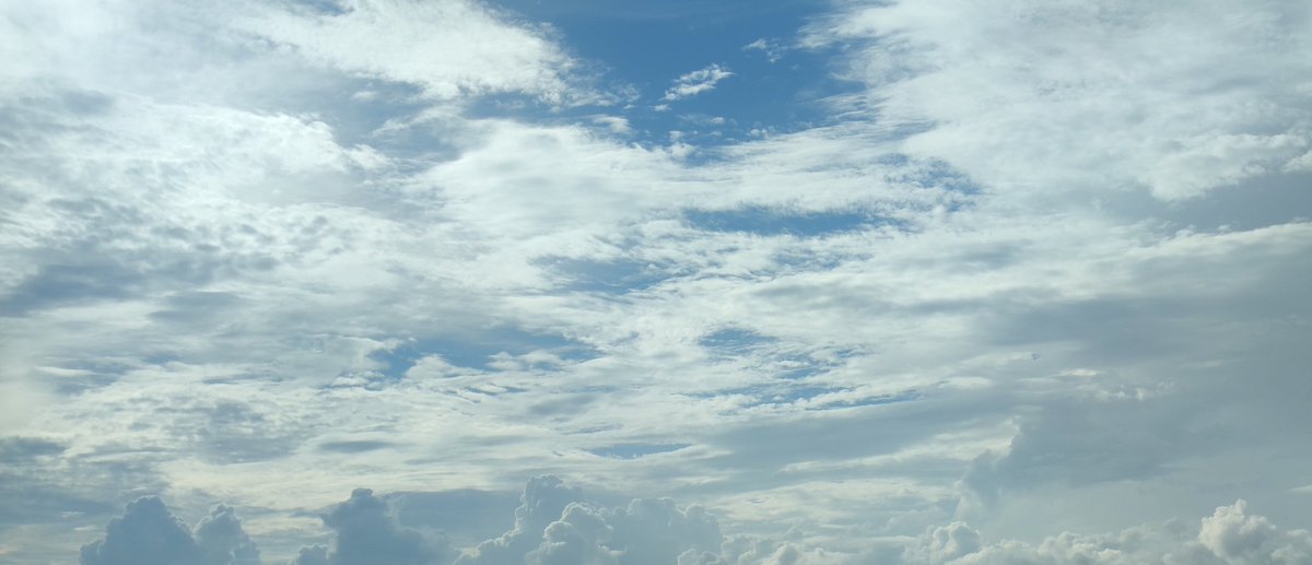 zhoumo (@zhoumo576725) on Twitter photo 