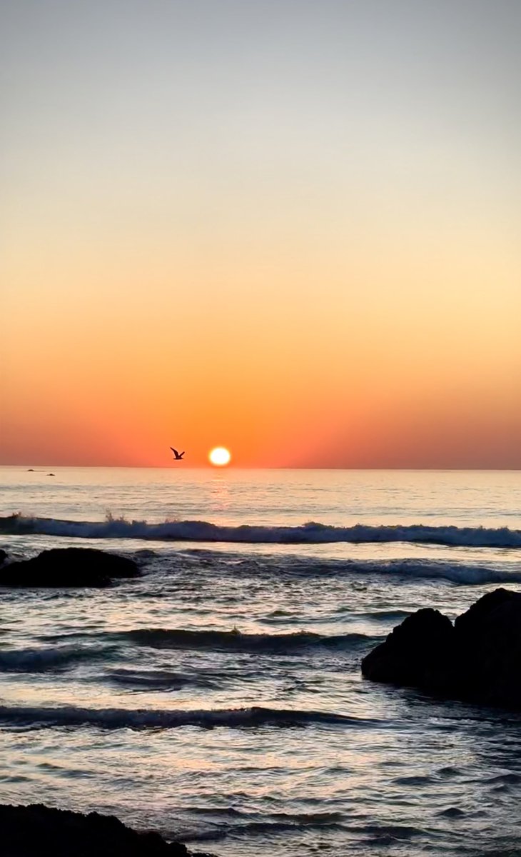 Mariette dT-Helmbold tweet media