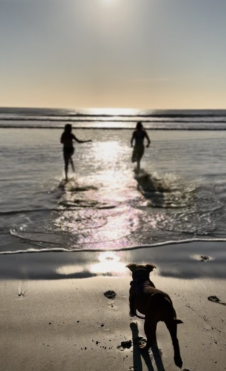 Mariette dT-Helmbold tweet media