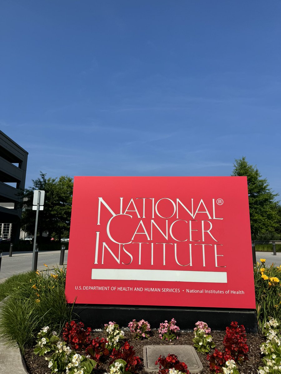 James Suliburk tweet media