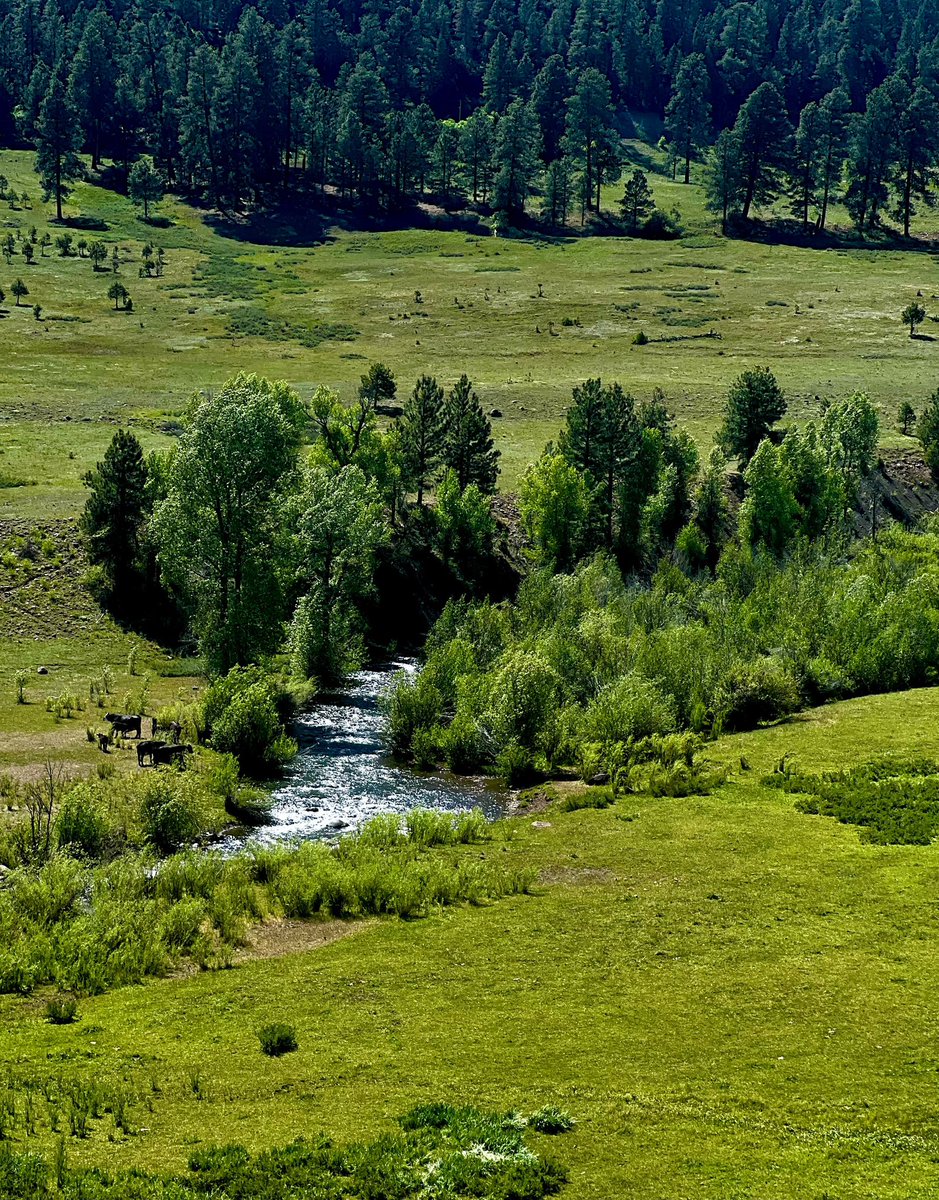 TonyNFowler's tweet image. The Colorado fresh air is priceless!