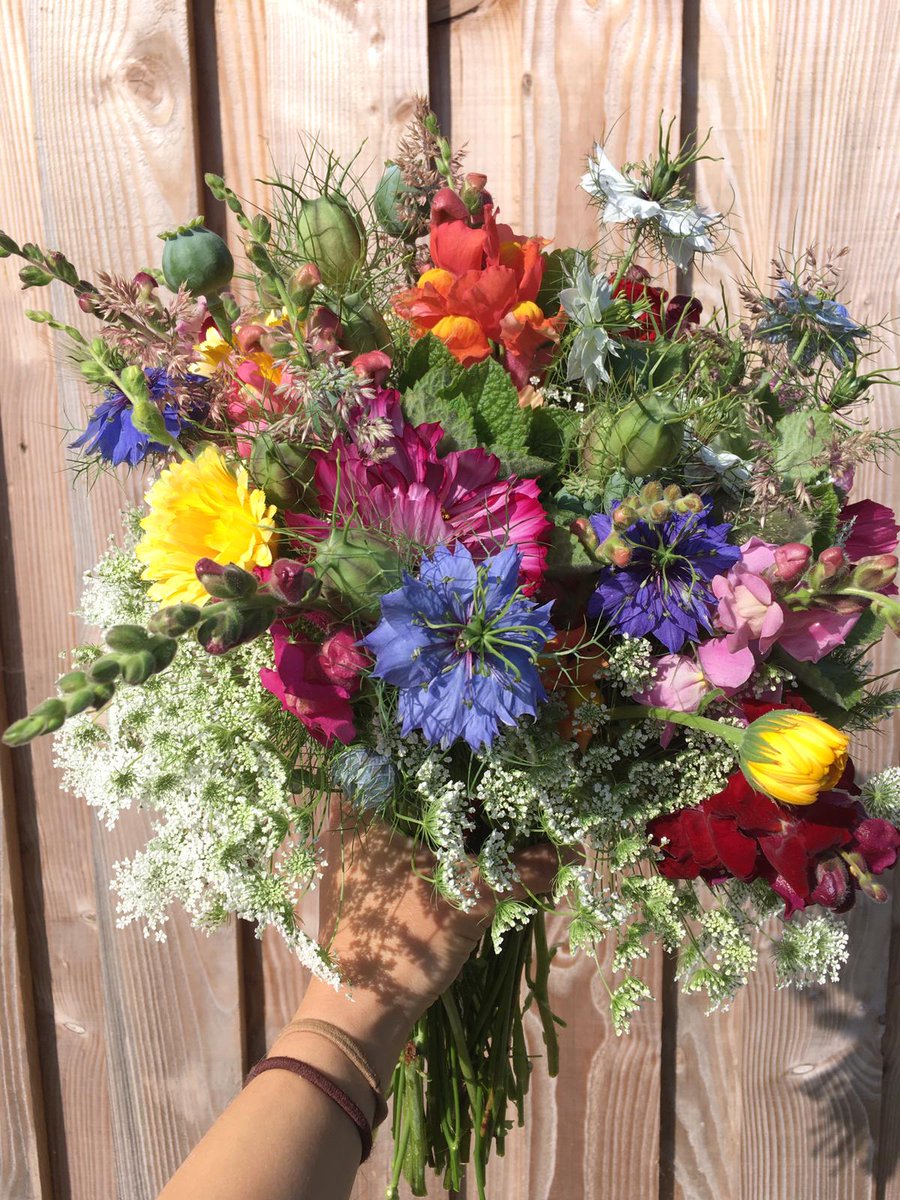 Gorgeous bunches of flowers picked from our flower patches and delivered to Five Acre Farm Shop @tobacco_factory

📍You can also collect produce and flowers from our Flower Barn, located onsite at Five Acre Farm, Backwell.