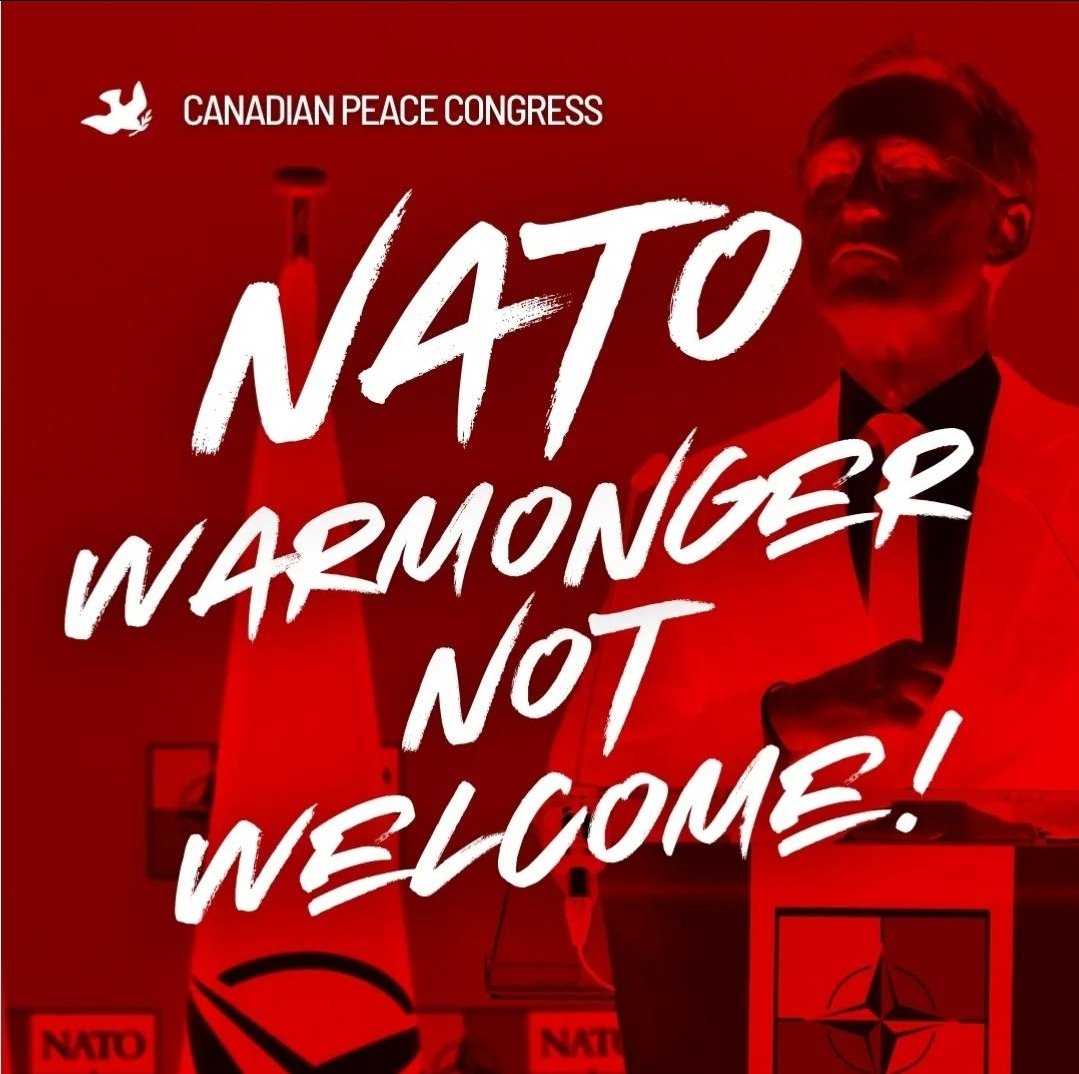 Toronto Association for Peace and Solidarity tweet media