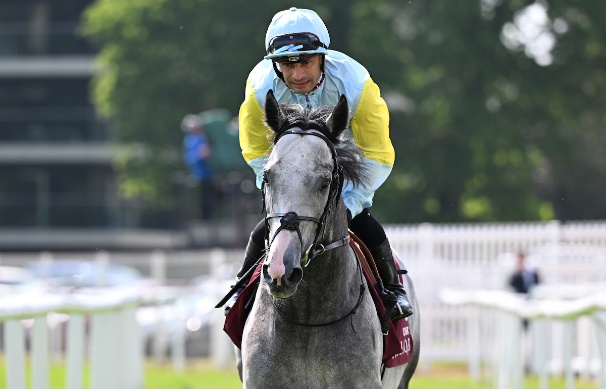 Racing TV tweet media