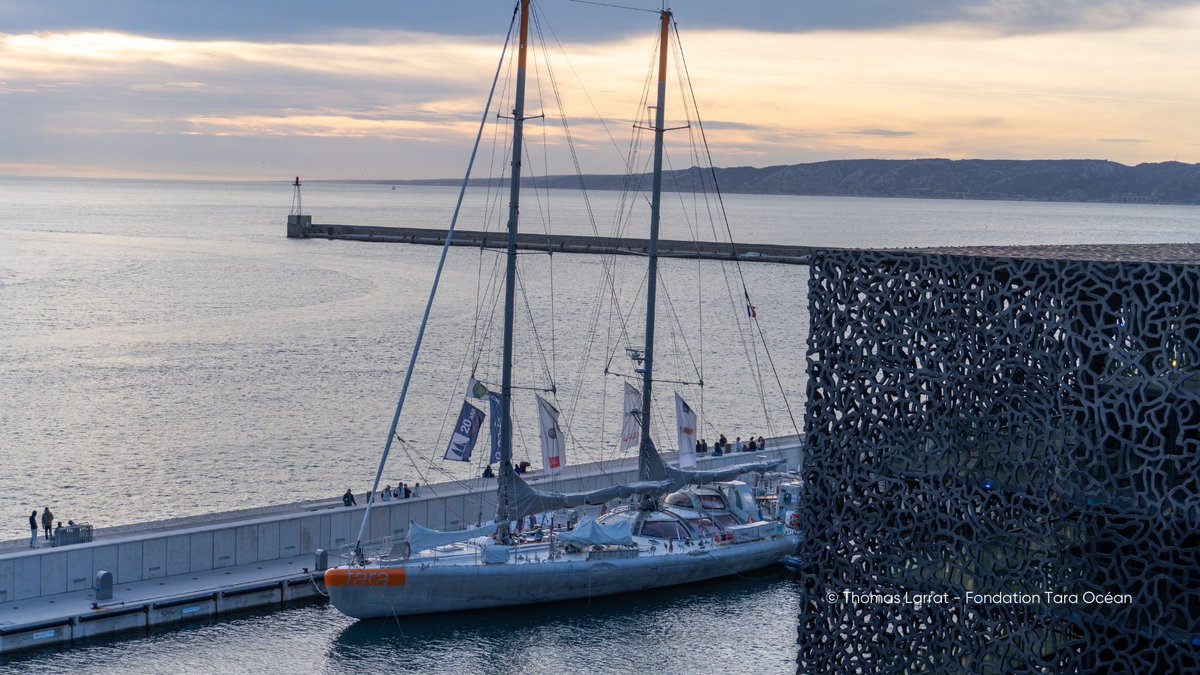 BlueRemediomics (@blueremediomics) on Twitter photo 📢 ⛵ On April 5th 2024 our #BlueRemediomics partners from <a href="/TaraOcean_/">Fondation Tara Océan</a> held a science-to-policy workshop on “Innovative tools for #monitoring and #protecting the land-sea interface” to tackle environmental challenges in Marseille. Read the outcomes here: blueremediomics.eu/science-to-pol… 📢 ⛵ On April 5th 2024 our #BlueRemediomics partners from <a href="/TaraOcean_/">Fondation Tara Océan</a> held a science-to-policy workshop on “Innovative tools for #monitoring and #protecting the land-sea interface” to tackle environmental challenges in Marseille. Read the outcomes here: blueremediomics.eu/science-to-pol…