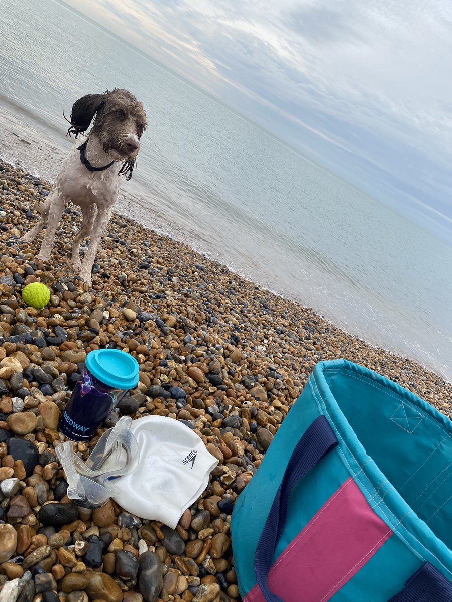 Celia Glynn-Williams tweet media