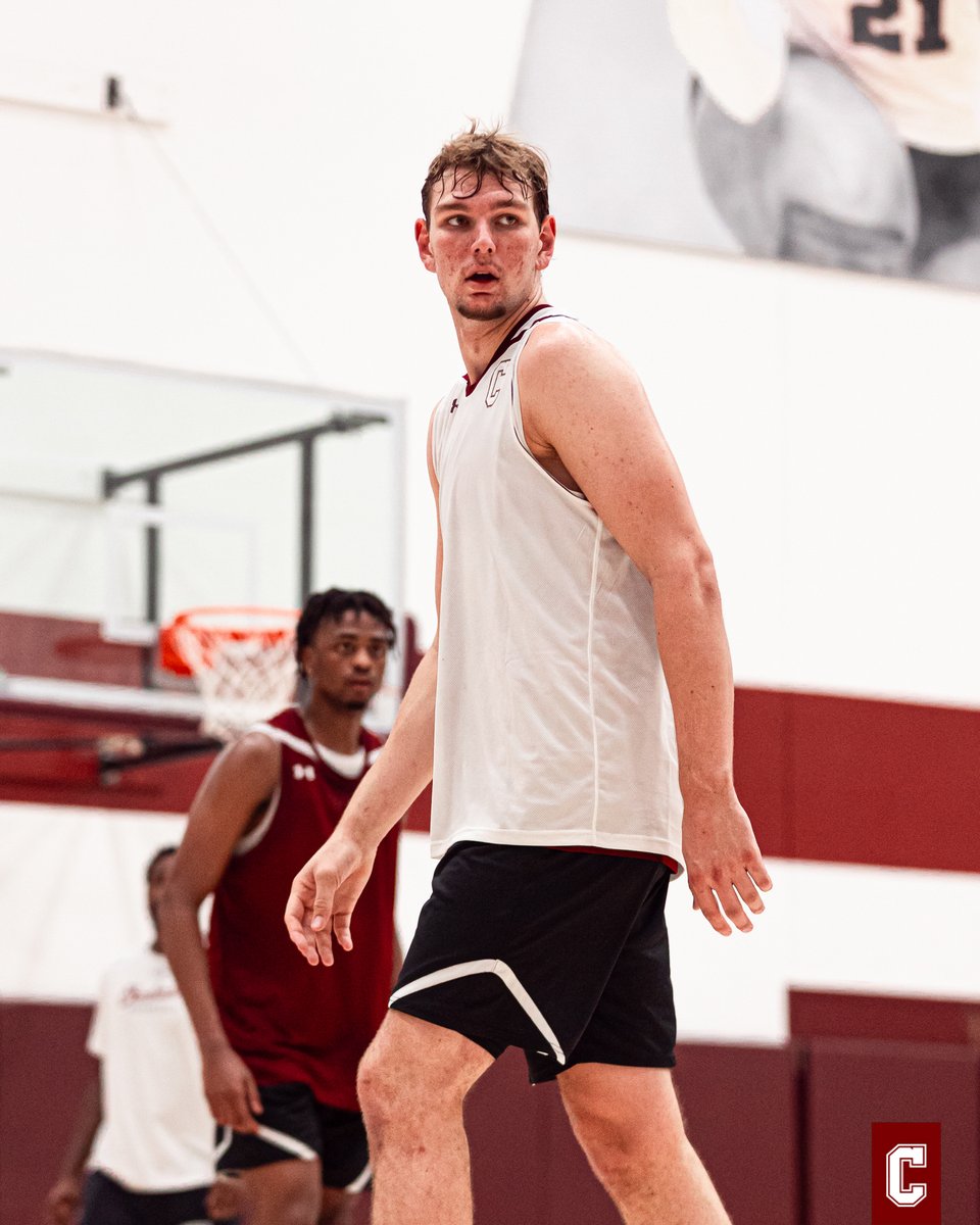 Charleston Basketball tweet media