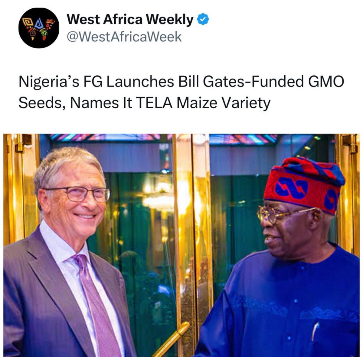 NwaMNK's tweet image. ATTENTION!!🚨🚨
It is time for all IPOB members, with the backing of the Leadership to massively campaign against the importation of Northern Nigeria grown foods into Biafra land.
But before I go further, let me spare some paragraphs, expatiating what GMOs mean.
THREAD 🧵👇