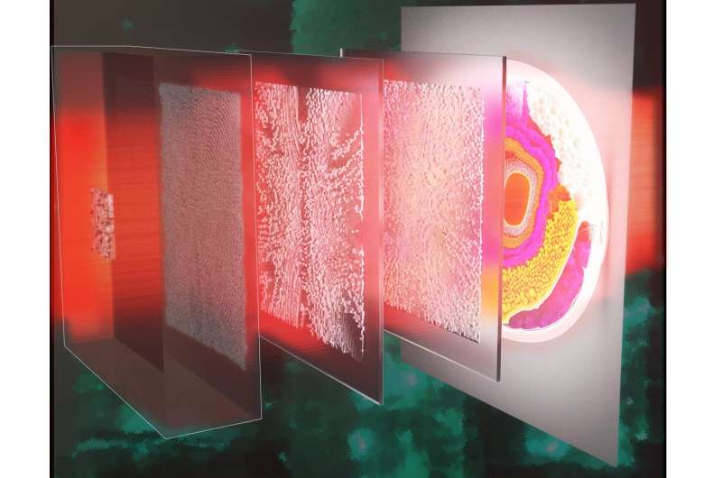 transpread's tweet image. In the journal eLight, Scientists have created a new type of imager that can capture features much smaller than the limitations of traditional optical systems.
#Solid immersion imaging #Diffractive processors
Details: doi.org/10.1186/s43593…