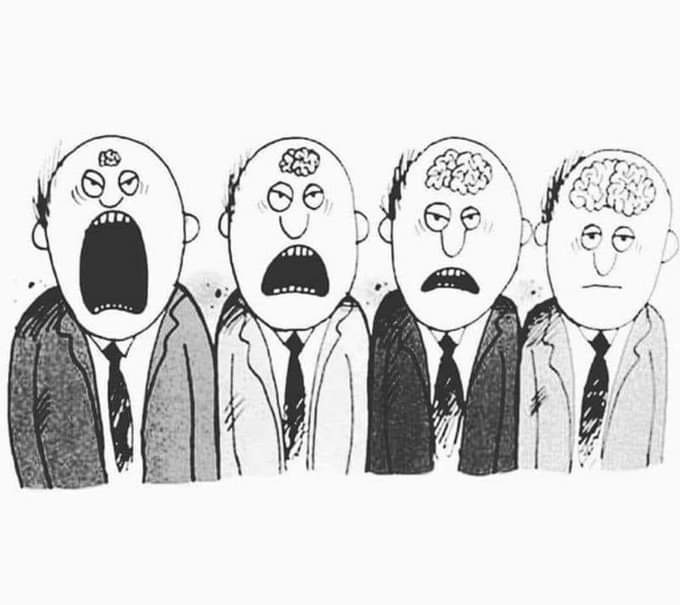 Irena Buzarewicz (@irenabuzarewicz) on Twitter photo 