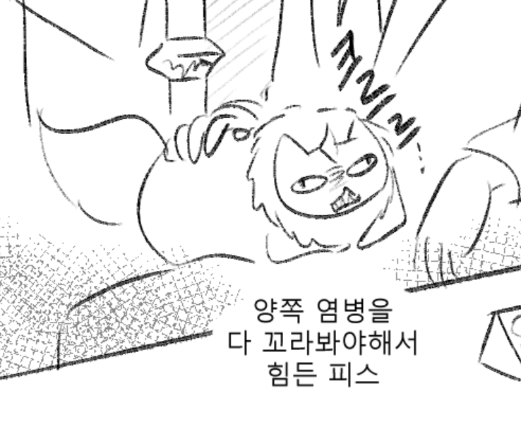 염병이 둘이라다행이다
셋이엇으면 피스 제3의눈 개안햇음 