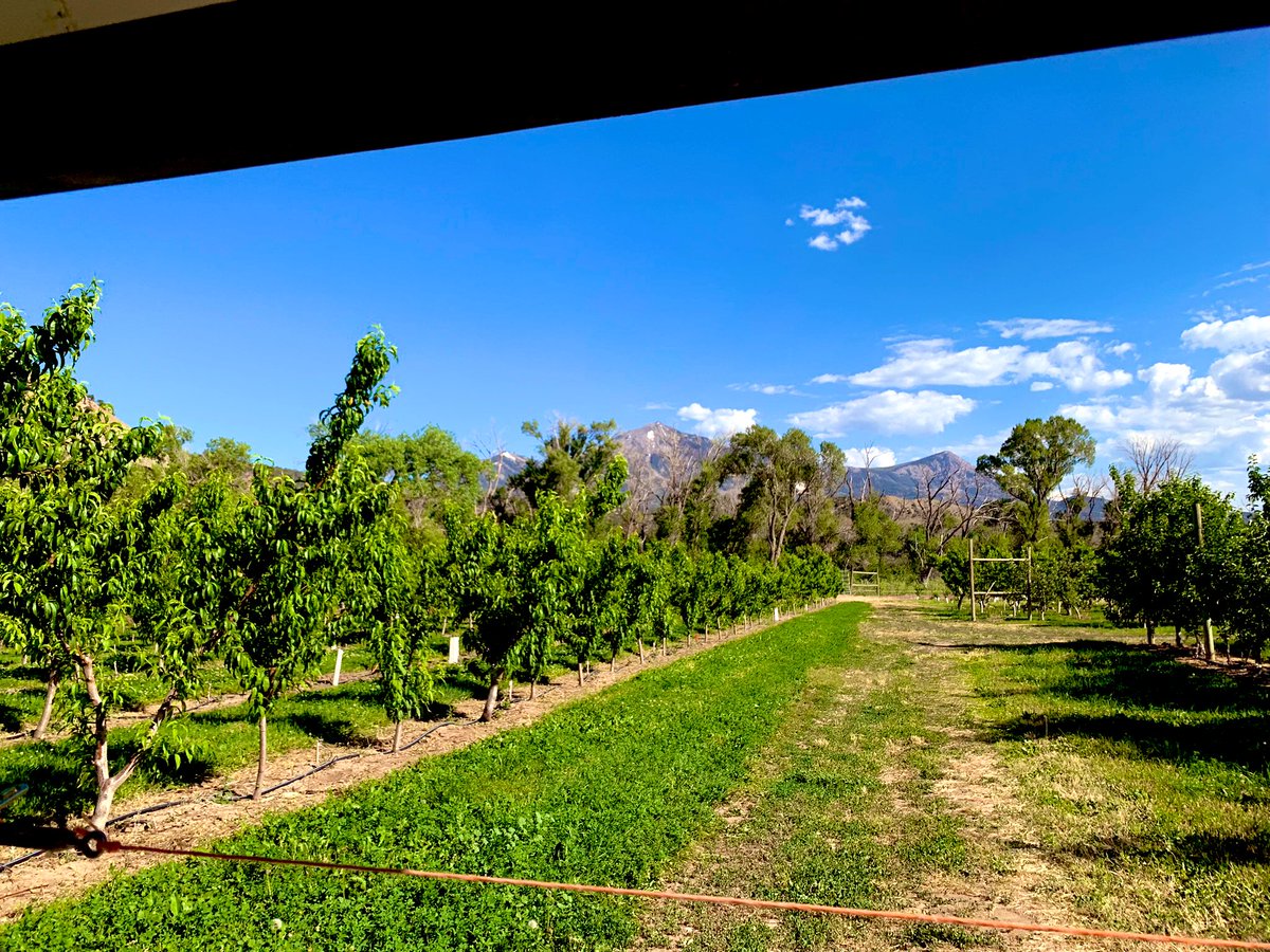 Nicki Nimlos tweet media