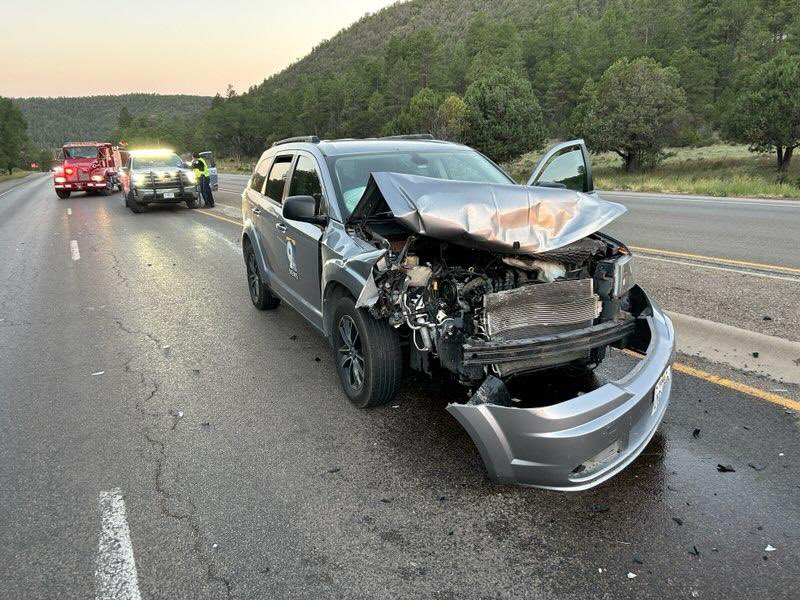 Wildlife are fleeing the Ruidoso fires in droves. An Elk jumped in front of the unit today while we were attempting to make our way toward Ruidoso. Photog is okay. Elk is dead. 

Evacuating residents should be very alert! #NMwx #nmfire