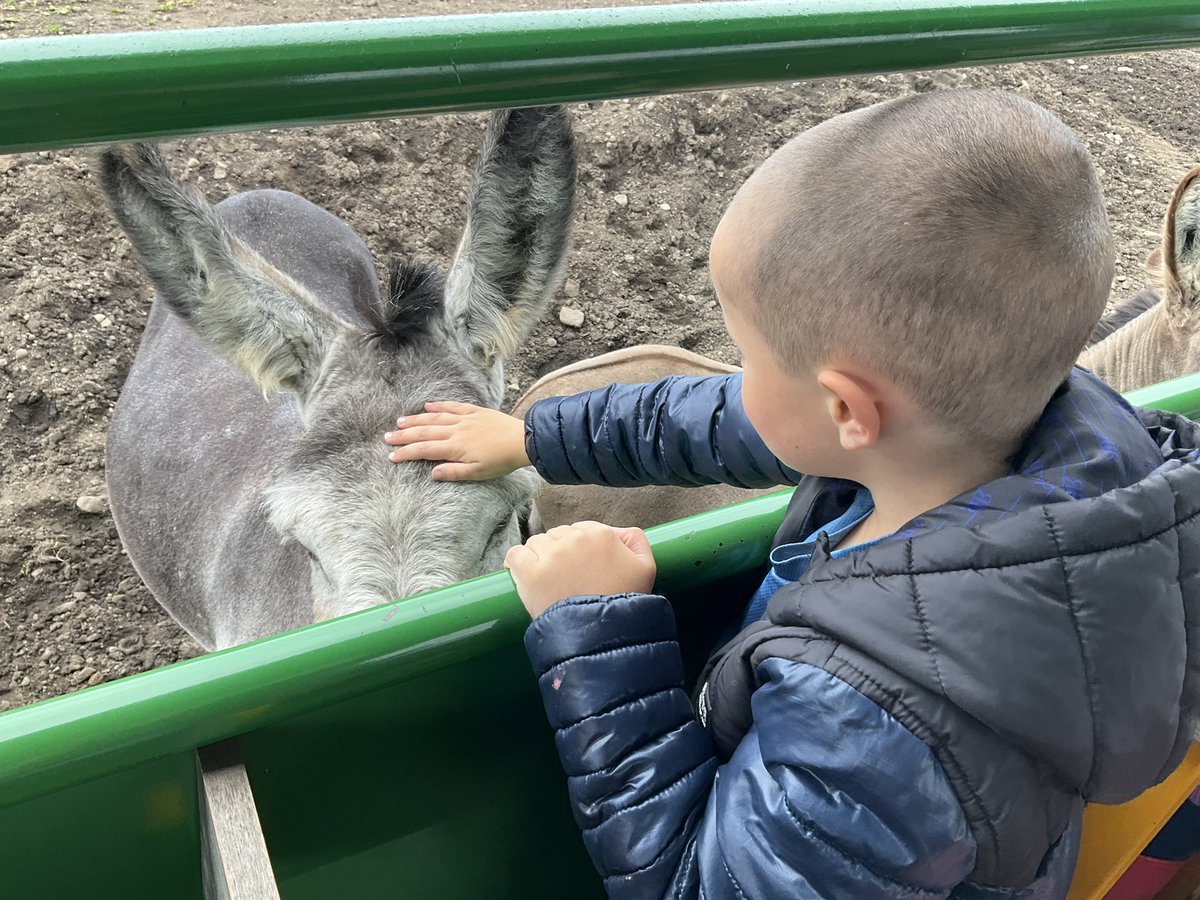 St_Wilfrids_CE's tweet photo. The tractor ride was fantastic and took us to the top of the farm to feed the donkeys. We had to hold the bread at the tip so the donkeys could come and take it. If we were a bit unsure we could throw the bread for the donkeys to find. #AgentsOfCourage @LT_Trust https://t.co/bh1y9Itnvu