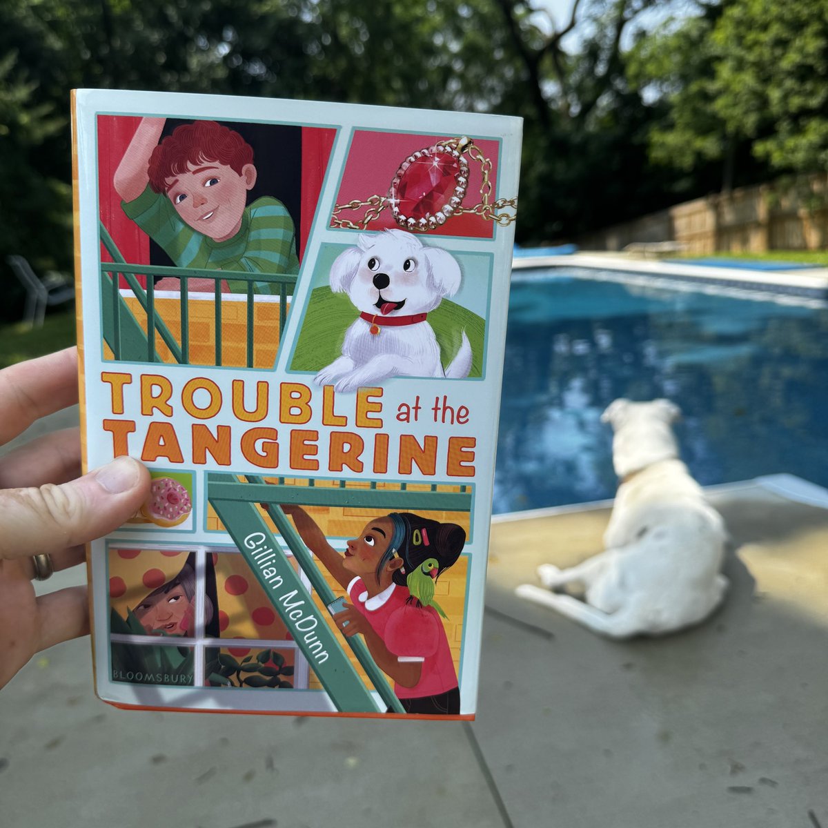 I had so much fun reading Trouble at the Tangerine. Simon has spent his life traveling around the country and moving constantly. His family has become social media travel influencers, and he wants nothing more than a forever home. Loved this middle grade novel! 🏡 🍊