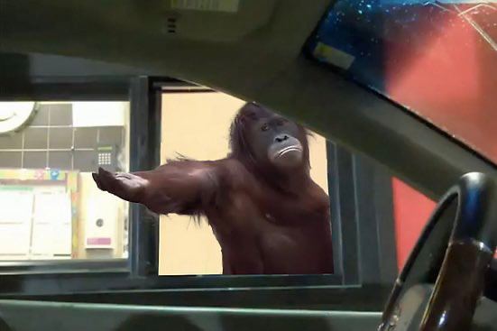 Bulbasaur Degenmon tweet media