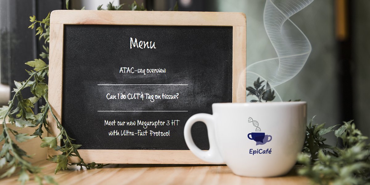 It's EpiCafé Time Again! 🧬☕
 
Today’s topics are:
· Overview of ATAC-seq
· Can I do CUT&amp;Tag on tissue?
· Introduction to our Megaruptor 3 HT
  
When? June 18th, 2024 – 18:00 CEST (Paris) / 12:00 EST (New York) / 9:00 PST (Los Angeles)
  
Find out more: bit.ly/481ZkAz