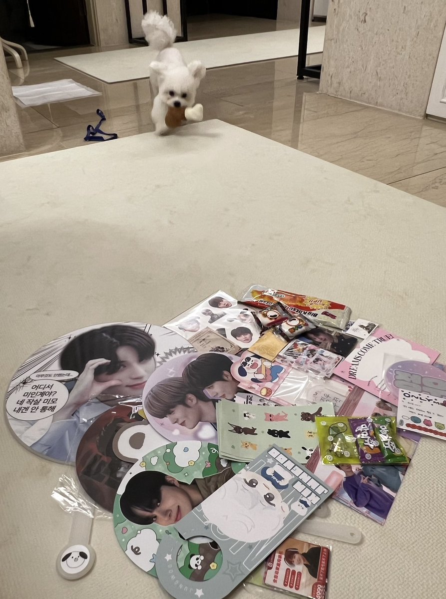 지난 팬미팅의 추억 🍀