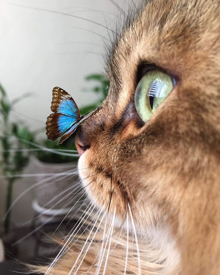 Aesthetics (@aestheticspost_) on Twitter photo 
