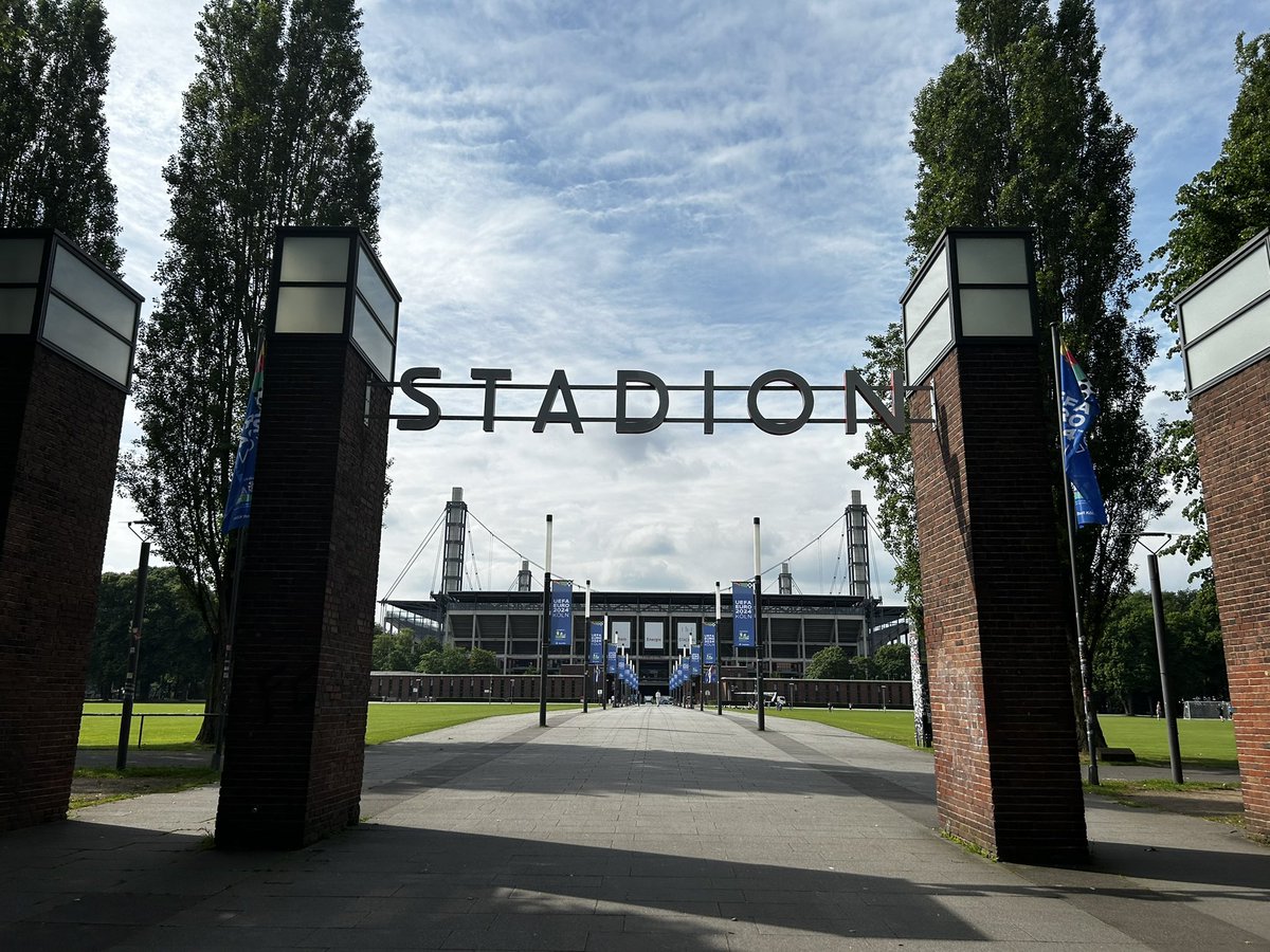 Free Lions tweet media