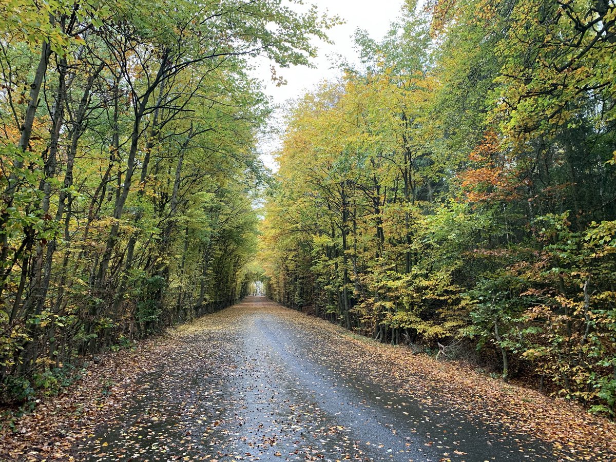 Frank Ilge tweet media