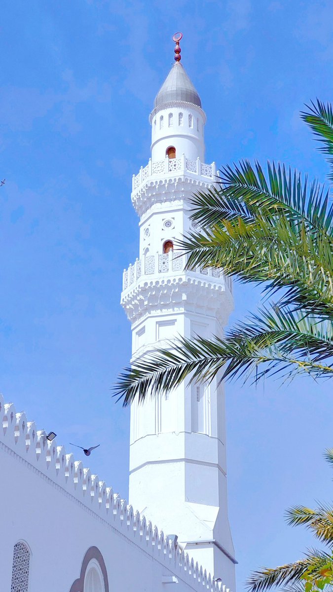 mashou1992's tweet photo. مسجد قباء https://t.co/Mbn23zTyjJ