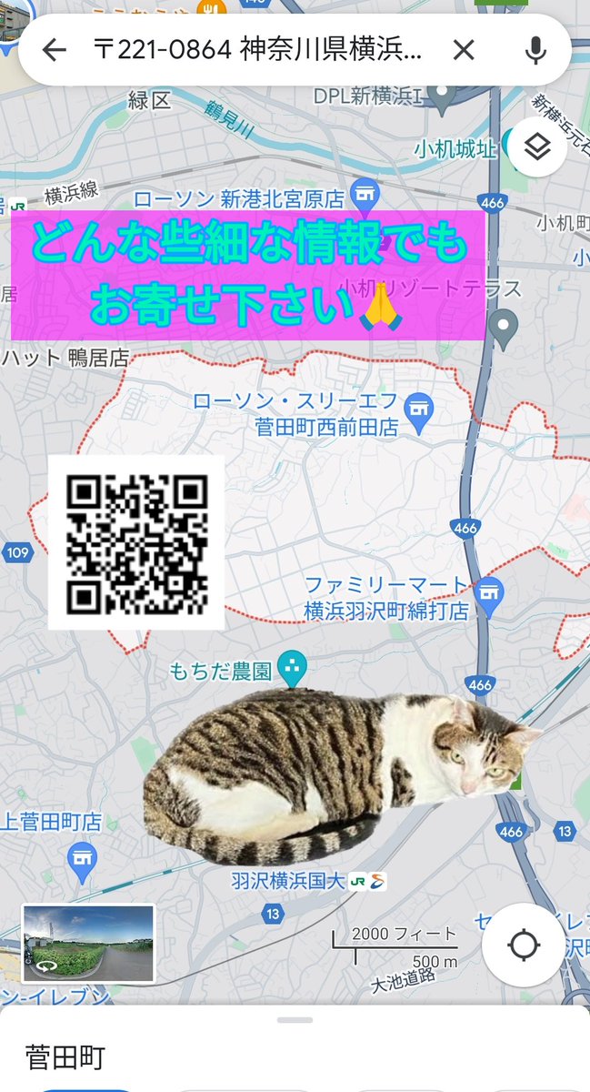 🐱トラくん
11/26 神奈川県横浜市緑区東本郷
または神奈川区菅田町より迷子

キジ白のハチワレさんで
当日は唐草模様の鈴つきの首輪(名前＋携帯番号記入のチャーム)着用

目撃･保護情報、どんな些細なことでも👇ポスト主様まで連絡お願いします🙏

#猫好きさんと繋がりたい
#猫のいる暮らし
#迷子猫