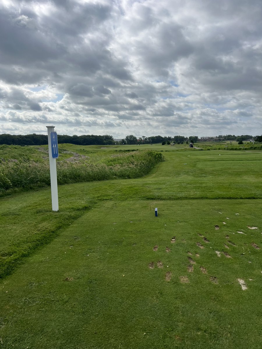 Day 2 of <a href="/IowaGolfAssn/">Iowa Golf Assn</a> Boys/Girls Championship scouting future <a href="/UIU_Golf/">Upper Iowa Golf</a> prospects!  <a href="/GLVCsports/">Great Lakes Valley Conference</a> <a href="/UIUPeacocks/">Peacock Athletics</a> #FeathersUp
