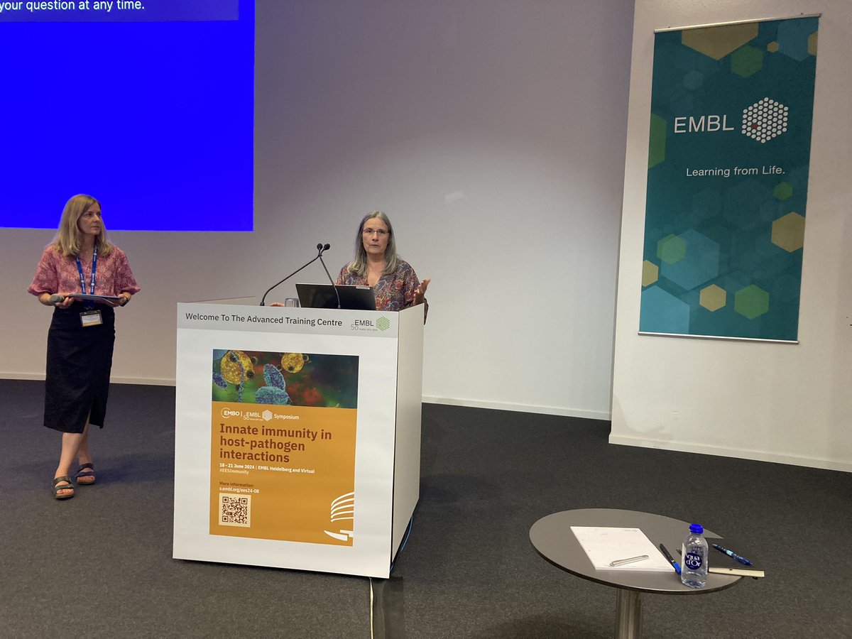 Felix Randow tweet media